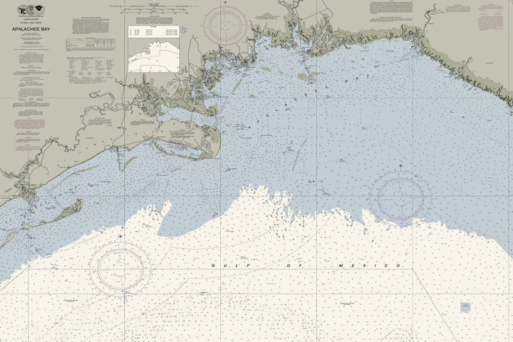 Apalachee Bay Nautical Chart — Traditional palette