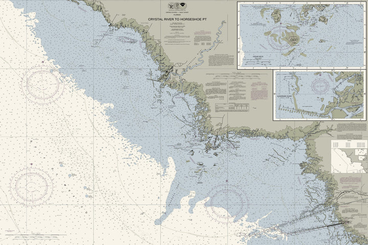 Crystal River To Horseshoe Pt Nautical Chart — Traditional palette