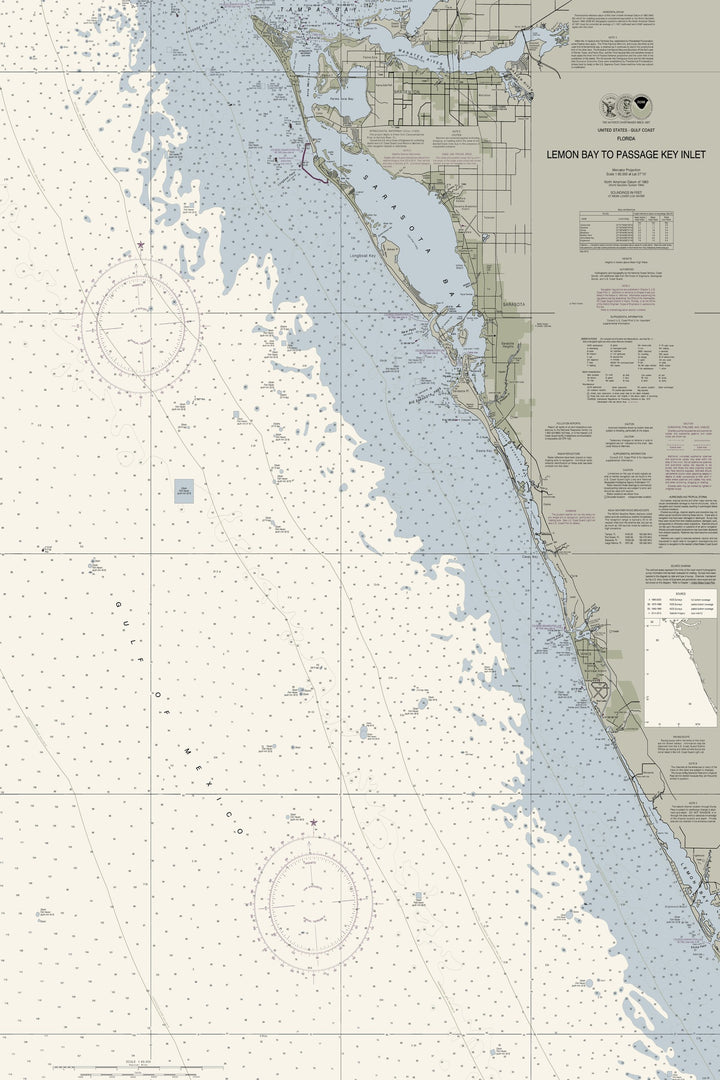 Lemon Bay to Passage Key Inlet Nautical Chart — Traditional palette