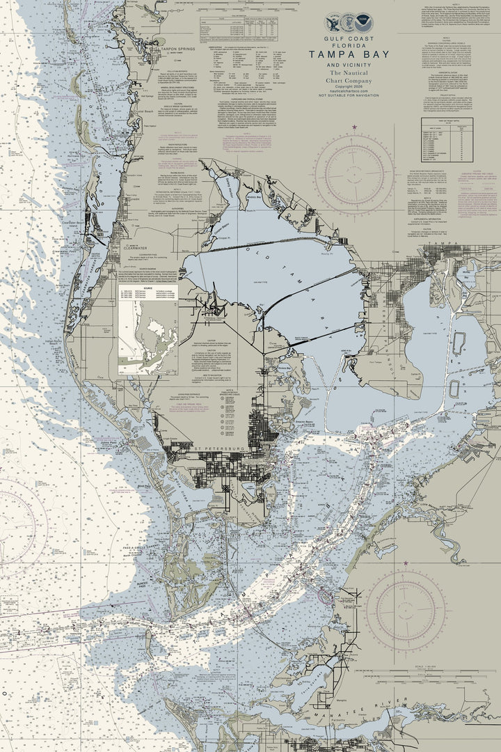 Tampa Bay & Vicinity Nautical Chart