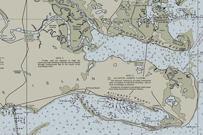 Apalachee Bay Nautical Chart — print detail 2
