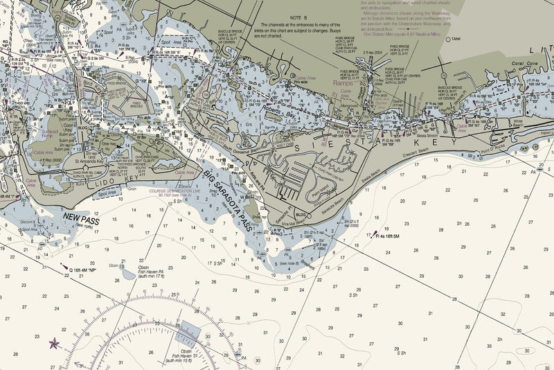Charlotte Harbor to Tampa Bay — print detail 1