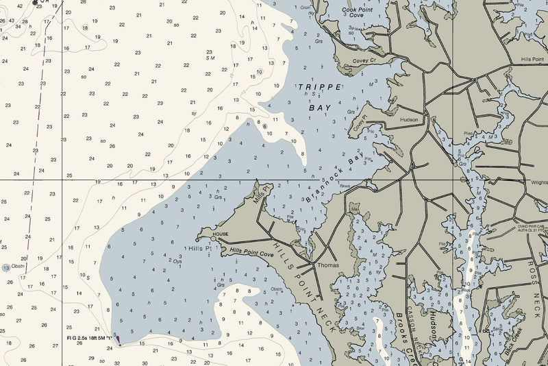 Chesapeake Bay Choptank River and Herring Bay Cambridge — print detail 1