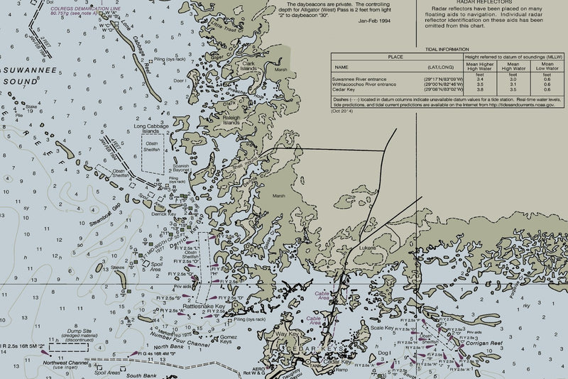 Crystal River To Horseshoe Pt Nautical Chart — print detail 3