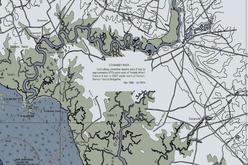 Delaware Bay Nautical Chart — Modern Edition — print detail 2