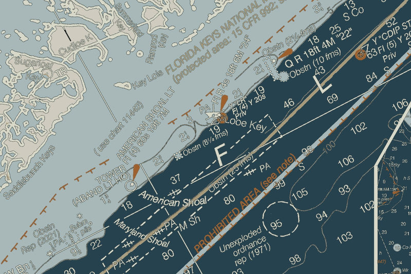 Florida Atlantic Coast 3 - Biscayne Bay to Key West — Heritage Edition — print detail 1