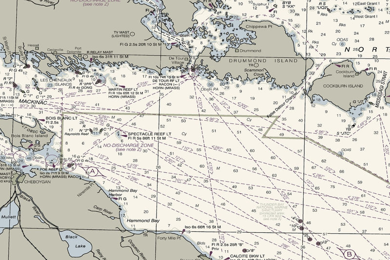 Lake Huron Nautical Chart — print detail 2