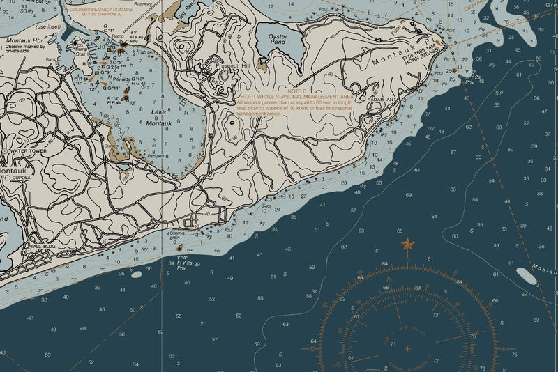 Montauk Point to East Rockaway Inlet — Heritage Edition — print detail 1