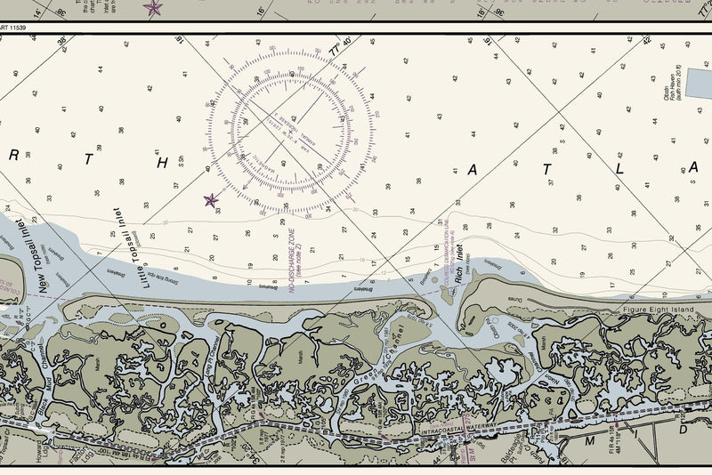 Neuse River and Adams Creek — print detail 1