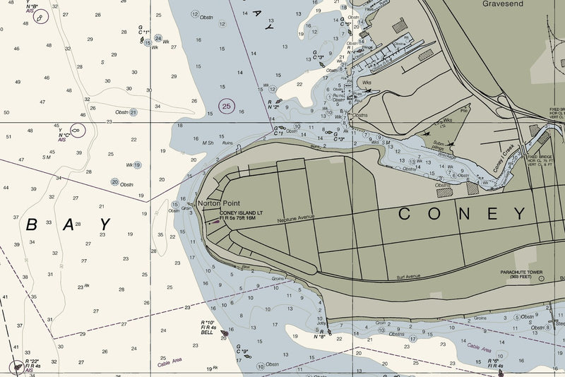 New York Lower Bay Northern Part — print detail 1