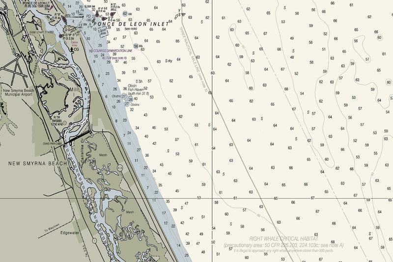 Ponce de Leon Inlet to Cape Canaveral Including Banana River — print detail 1