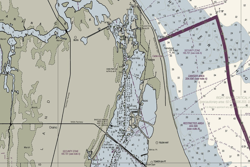 Ponce de Leon Inlet to Cape Canaveral Including Banana River — print detail 3