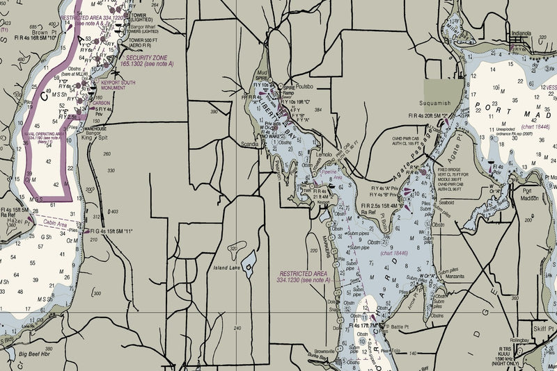 Puget Sound - Northern Part Nautical Chart — print detail 2