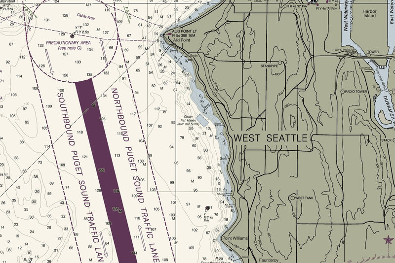 Puget Sound -  Shilshole Bay To Commencement Bay — print detail 1