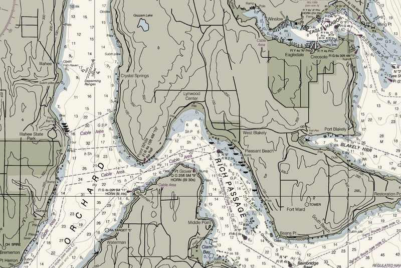 Puget Sound -  Shilshole Bay To Commencement Bay — print detail 3