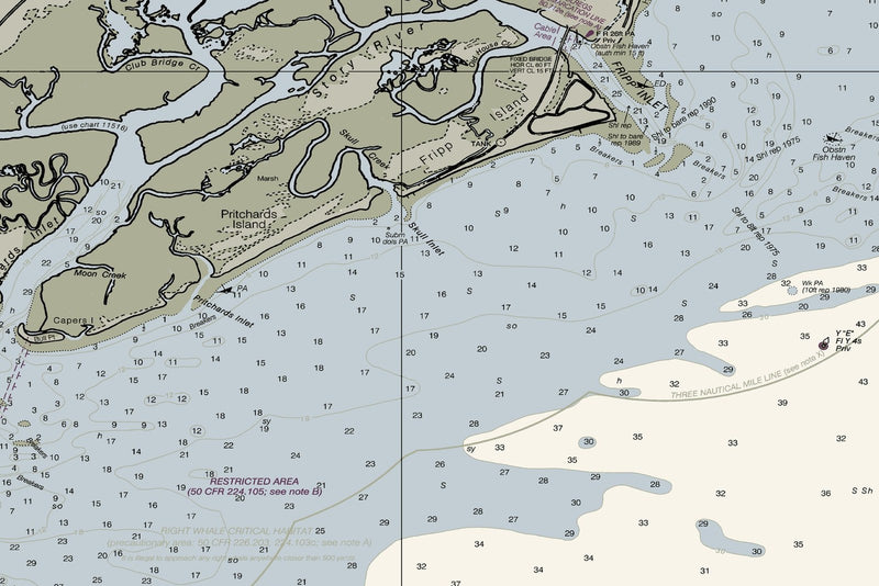 Savannah River Nautical Chart — print detail 1