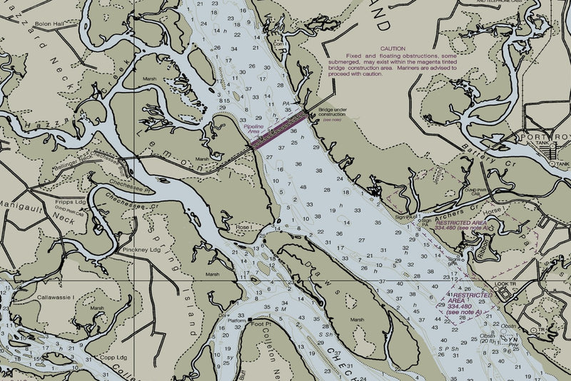 Savannah River Nautical Chart — print detail 3