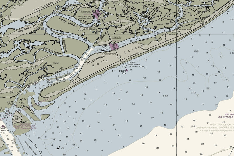 Stono and North Edisto Rivers — print detail 1