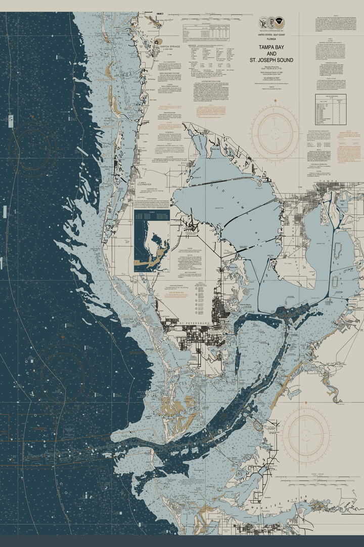 Tampa Bay & Vicinity Nautical Chart — Heritage Edition
