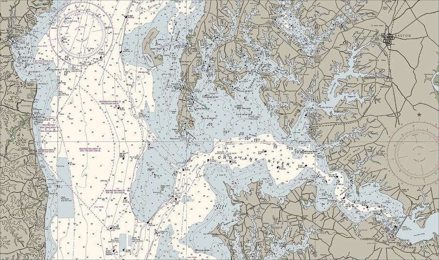 Chesapeake - Cove Point To Sandy Point Nautical Chart