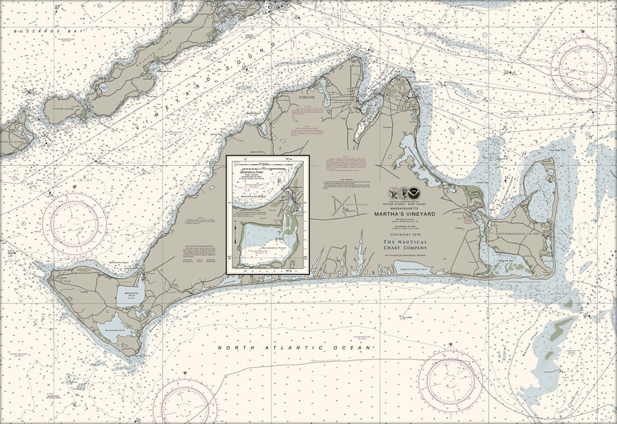 Martha's Vineyard Nautical Chart