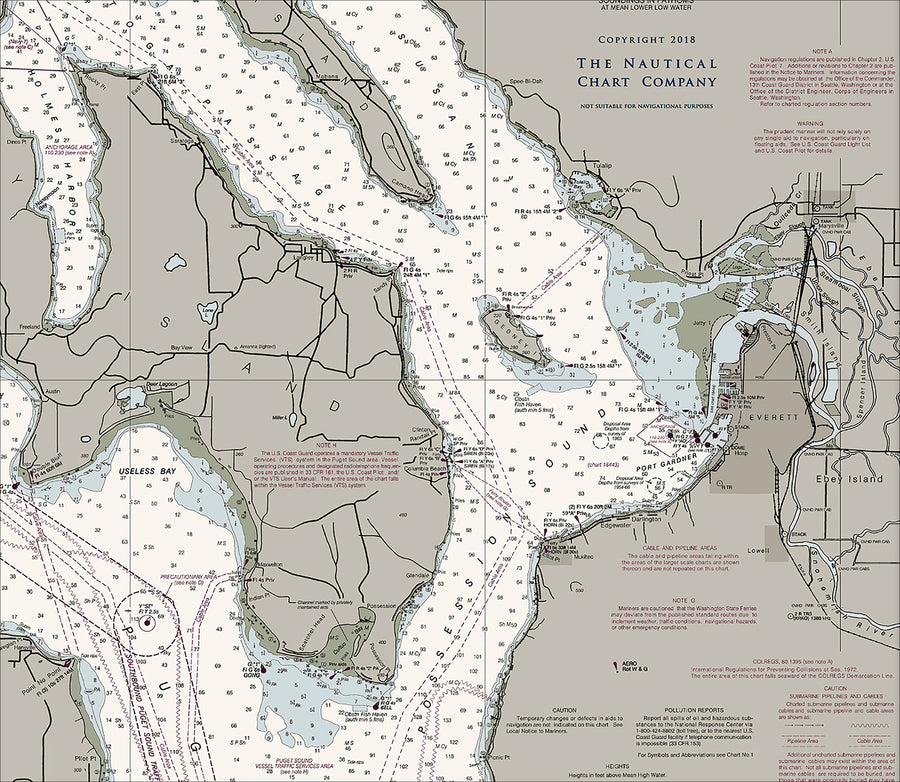 Puget Sound - Northern Part Nautical Chart