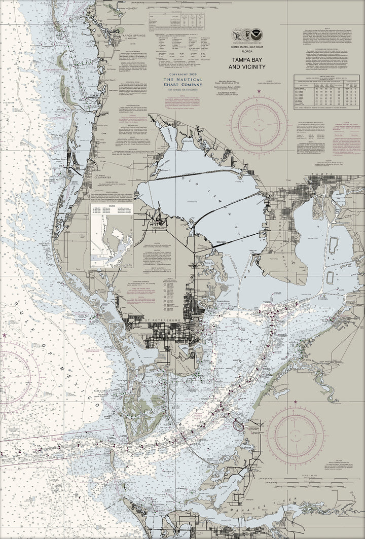 Tampa Bay & Vicinity Nautical Chart — Traditional palette