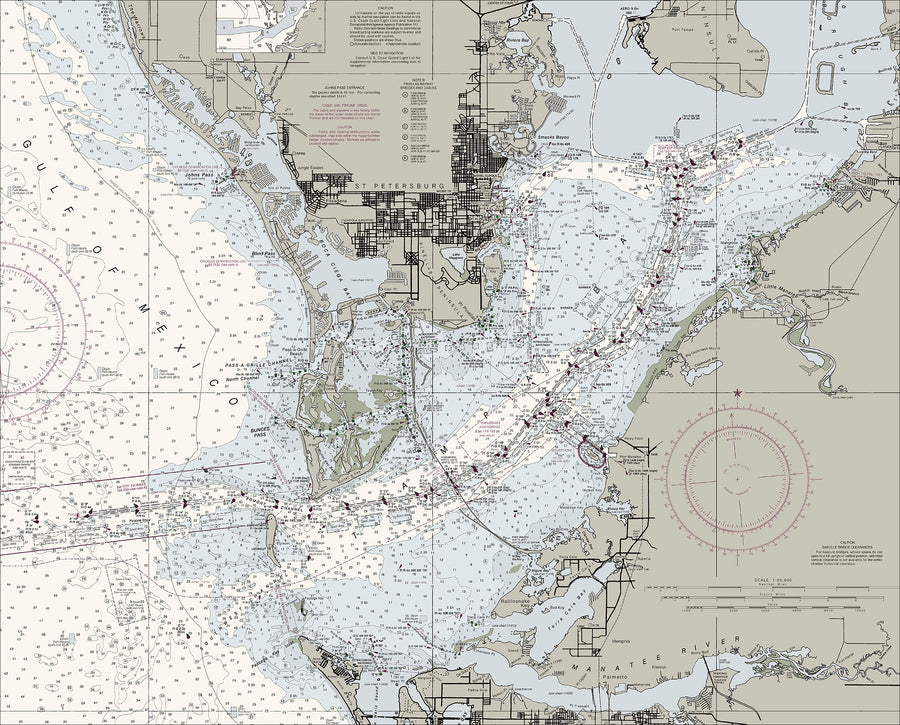 Tampa Bay & Vicinity Nautical Chart