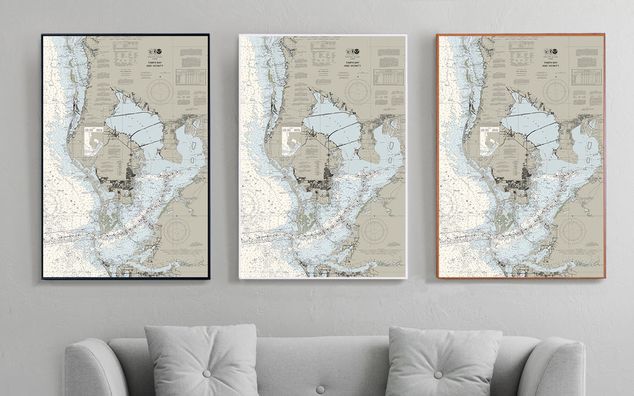 Tampa Bay & Vicinity Nautical Chart